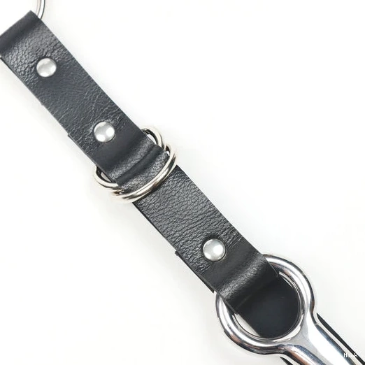 and 5853 Anal with Collar EverydayUse Kinky Hook Leash 0530